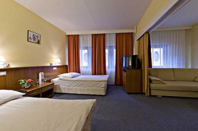 Hotel Palatinus - soproni 3-4 fős apartmanok a belvárosban a Palatinus Szállóban - ✔️ Hotel Palatinus**** Sopron - szálloda Sopron belvárosában megfizethető áron