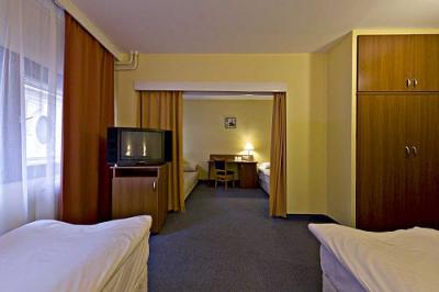 Palatinus Szálló - soproni apartmanok a VOLT fesztivál helyszínén megfizethető áron - ✔️ Hotel Palatinus**** Sopron - szálloda Sopron belvárosában megfizethető áron